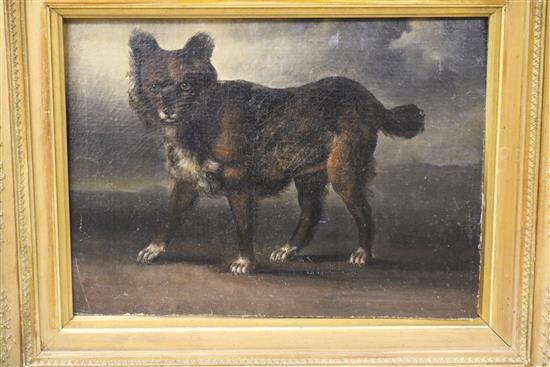 19th century English School, oil on canvas laid on card, portrait of a dog in a stormy landscape, 28 x 38cm